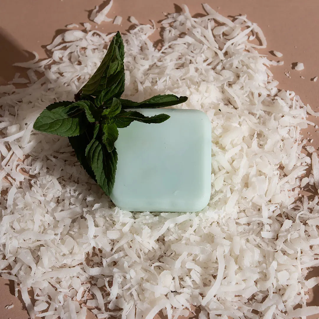 Acondicionador sólido viajero de coco Fringilla con ingredientes naturales y fórmula hidratante