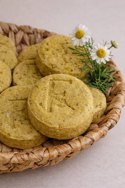 Champú sólido viajero Fringilla semilla fresca con ingredientes naturales y fórmula de limpieza suave